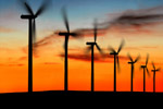 Windfarm